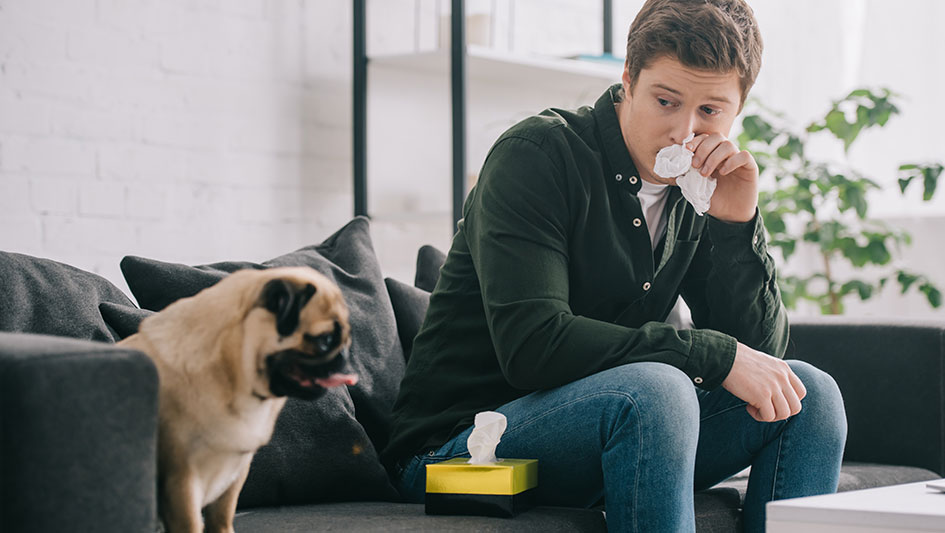 Installing an air purifier is one of the best ways to improve your house’s indoor air quality. Discover more about the three best options. 